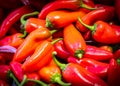 Red and yellow green bell pepper plant Royalty Free Stock Photo