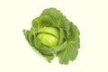 Fresh organic green cabbage, garden vegetable, food object isolated on white background Royalty Free Stock Photo