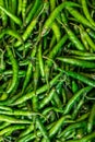 Fresh organic green chilli from farm close up from different angle Royalty Free Stock Photo