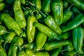 Fresh organic green chilli from farm close up from different angle Royalty Free Stock Photo