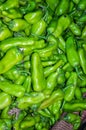 Fresh organic green chilli from farm close up from different angle Royalty Free Stock Photo