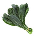 Fresh organic green kale leaves isolated over white background Royalty Free Stock Photo