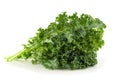 Fresh organic green kale leaves isolated over white background Royalty Free Stock Photo