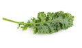 Fresh organic green kale leaves isolated over white background Royalty Free Stock Photo