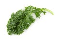 Fresh organic green kale leaves isolated over white background Royalty Free Stock Photo