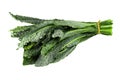 Fresh organic green kale leaves isolated over white background Royalty Free Stock Photo