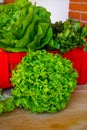 Fresh organic green lettuce leaf vegetable ready to eat in salad Royalty Free Stock Photo