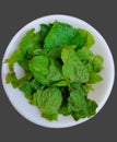 Fresh organic green mint leaves in a plate Royalty Free Stock Photo
