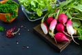 Fresh organic greens. Radishes, curly parsley, young lettuce