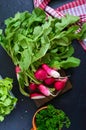 Fresh organic greens. Radishes, curly parsley, young lettuce on a black background.