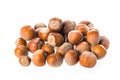 Fresh organic hazelnuts collection isolated on white background. Close up filbert image Royalty Free Stock Photo