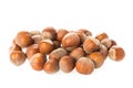 Fresh organic hazelnuts connection isolated on white background. Close up filbert image. Royalty Free Stock Photo