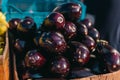 Fresh organic healthy eggplant vegetables in plastic boxes armers market. Royalty Free Stock Photo