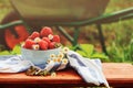 Fresh organic home growth strawberries in summer garden in plate with wheelbarrow on background Royalty Free Stock Photo