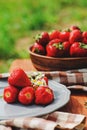 Fresh organic home growth strawberries on wooden table in plate Royalty Free Stock Photo