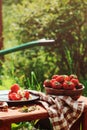 Fresh organic home growth strawberries on wooden table in plate Royalty Free Stock Photo