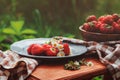 Fresh organic home growth strawberries on wooden table in summer garden Royalty Free Stock Photo