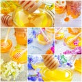 fresh organic honey flowers collage delicious