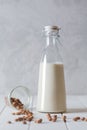 Fresh organic horchata drink prepared in Valensia, Spain