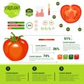 Fresh Organic Infographics Natural Vagetables Growth, Agriculture And Farming Royalty Free Stock Photo