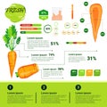 Fresh Organic Infographics Natural Vagetables Growth, Agriculture And Farming Royalty Free Stock Photo