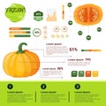 Fresh Organic Infographics Natural Vagetables Growth, Agriculture And Farming Royalty Free Stock Photo