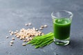 Fresh organic juice from wheat grass. Healthy and active lifestyle concept. Superfood. Royalty Free Stock Photo