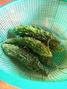 Fresh Organic karela in a basket