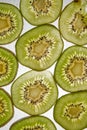 Fresh organic kiwi fruit sliced. Green kiwi circles background. Line up. Kiwi pattern. Flay lay. Top view Royalty Free Stock Photo