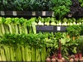 Fresh organic leafy vegetables