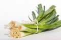 Fresh organic leeks Royalty Free Stock Photo