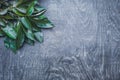 Fresh organic lychee leaves on a rustic wooden background