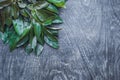 Fresh organic lychee leaves on a rustic wooden background