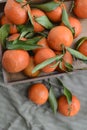 Fresh mandarin oranges fruit or tangerines with leaves on the wooden box on the table. Royalty Free Stock Photo