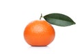 Fresh organic mandarin tangerine fruit with leaves Royalty Free Stock Photo