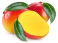 Fresh organic mango isolated clipping path Royalty Free Stock Photo