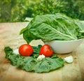 Fresh organic mangold - spinach beet Royalty Free Stock Photo