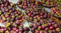 Fresh organic mangosteen fruits at the market Royalty Free Stock Photo