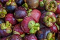 Fresh organic mangosteen Thai fruit Royalty Free Stock Photo