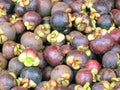 Fresh organic mangosteen Thai fruit Royalty Free Stock Photo