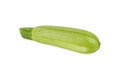 Fresh organic marrow zucchini squash vegetable isolated on white Royalty Free Stock Photo