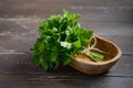 Fresh organic mint bunch in a wooden bowl on the old rustic wooden table. Royalty Free Stock Photo