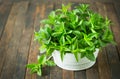 Fresh organic mint leafs in the bowl