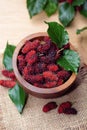 Fresh organic mulberry in bowl