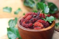 Fresh organic mulberry in bowl