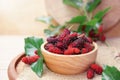 fresh organic mulberry in bowl on wooden background with mulberry fruit and mulberry branch. Royalty Free Stock Photo