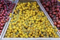 Fresh organic multicolored cherry tomatoes. Farmers market counter with heap of live vitamins, selectiv focus Royalty Free Stock Photo