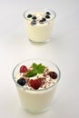 Fresh organic nature yoghurt