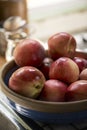 Fresh organic nectarines in a bowl Royalty Free Stock Photo