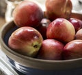 Fresh organic nectarines in a bowl Royalty Free Stock Photo